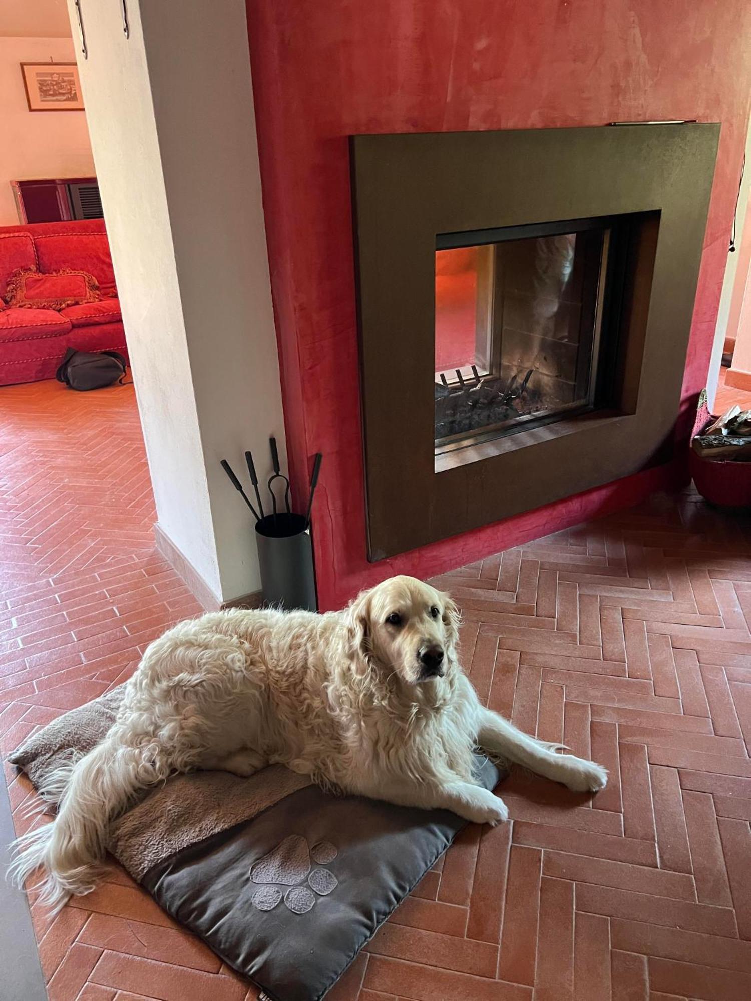 Casa Boru - A Beautiful Fully Restored Spacious House With Fantastic Views Calice al Cornoviglio 外观 照片