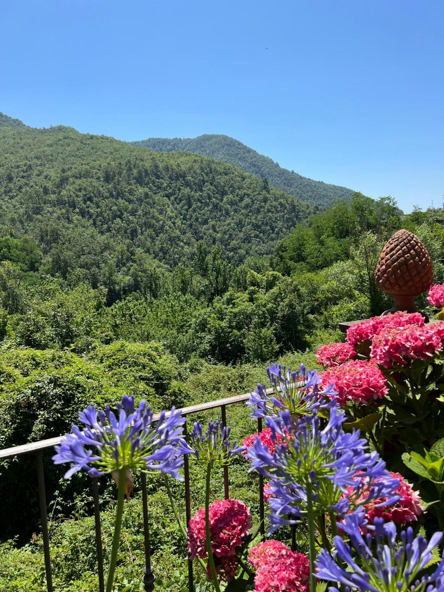 Casa Boru - A Beautiful Fully Restored Spacious House With Fantastic Views Calice al Cornoviglio 外观 照片